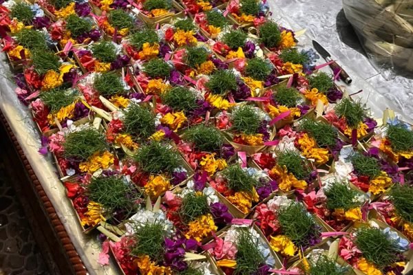 WhatsApp Image 2026-02-21 at 13.33.38