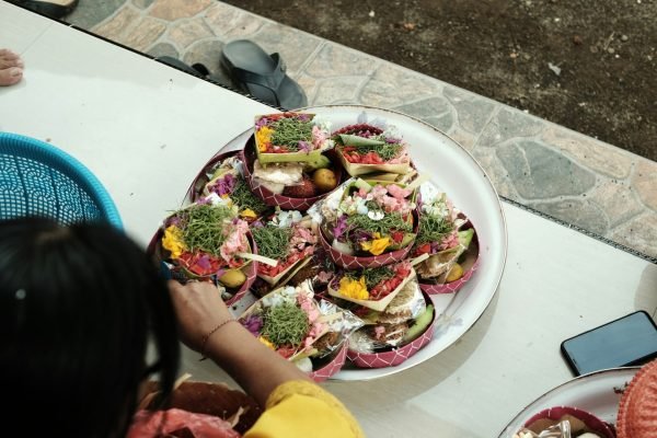 aditya-nara-BSB77bhMiL4-unsplash